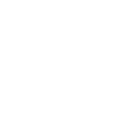 standard icon